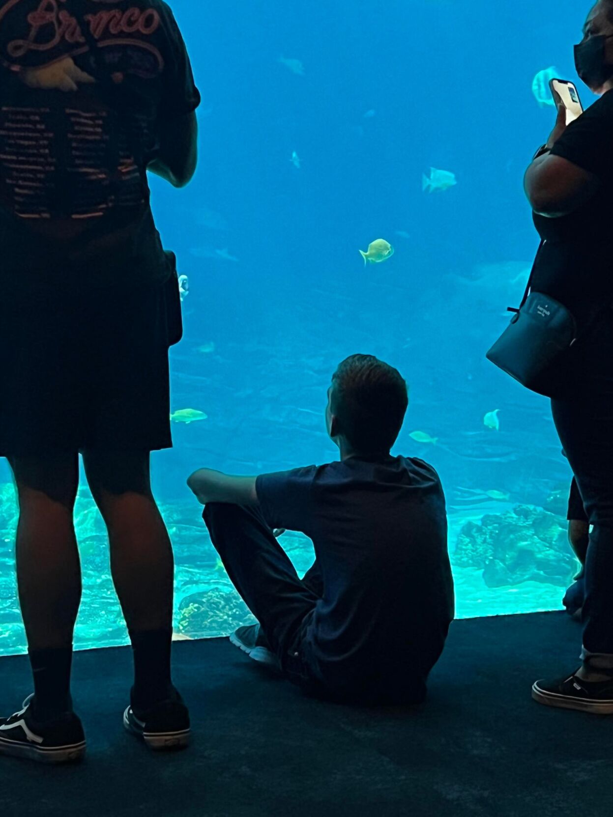 Landyn Yates sitting still at an aquarium